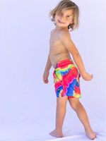 BOYS BOARDIES BBR - FREEDOM TIE DYE